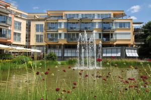 Zahrada ubytování Dorint Parkhotel Bad Zurzach