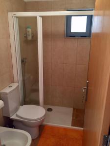a bathroom with a toilet and a shower with a window at Quinta do Pêso in Amarante