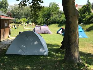 a group of tents in a field next to a tree at Oliver Inn Camping in Balatonlelle