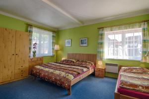 a bedroom with two beds and green walls at Penzion Neco in Malá Skála