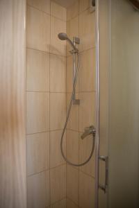 y baño con ducha con cabezal de ducha. en Agroturystyka Słoneczny Dom, en Lublin