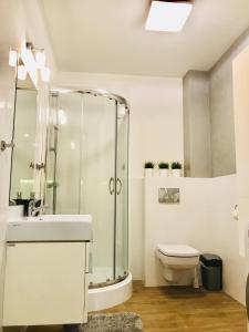 Koupelna v ubytování Apartamenty Rodzinne z ogródkiem + 28 fotografií