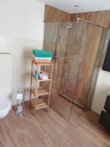 a bathroom with a shower with a glass door at Ferienwohnung, Monteurwohnung in Hauswalde