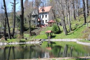 a house sitting on top of a hill next to a lake at Wilinianka in Pieszyce
