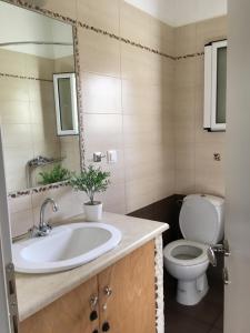 Koupelna v ubytování The Olive Grove House + 35 fotografií