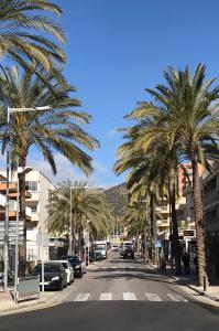 una calle con palmeras al lado de una carretera en Apartamentos Las Palmeras en Palmanova