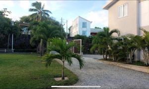 Um jardim em Turquoise Bay Beach Apartments Trou d'Eau Douce