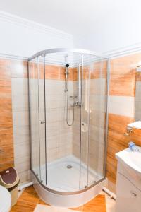 a shower with a glass enclosure in a bathroom at Pensiunea Domnescu in Sălişte