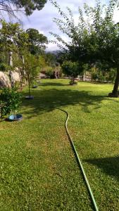 a hose laying on the grass in a park at Casa do Soutinho in Beiral do Lima
