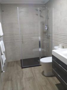 a bathroom with a shower and a toilet and a sink at APARTAMENTOS CAMINO SANTO TORIBIO in Mieses