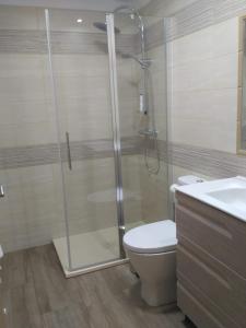 a bathroom with a shower and a toilet and a sink at APARTAMENTOS CAMINO SANTO TORIBIO in Mieses