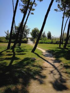 カヴァッリーノ・トレポルティにあるCorallo Apartmentsの芝生の公園内の並木道