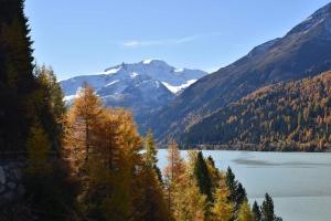 Paesaggio naturale nelle vicinanze dell'affittacamere