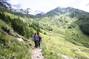 Paesaggio naturale nelle vicinanze dell'affittacamere