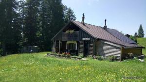 Schnaitstadl-Alm في Krispl: منزل خشبي صغير في حقل من العشب