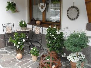 Zahrada ubytování Haus Elisabeth
