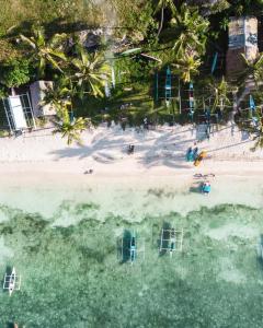 - une vue aérienne sur une plage bordée de palmiers dans l'établissement Natura Vista, à Panglao