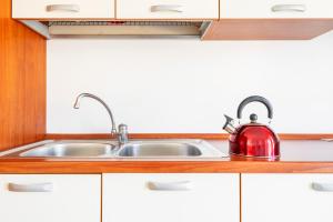 eine Küchenspüle mit einem Wasserkocher mit rotem Tee in der Unterkunft PrimoPiano - Garofalo A in Mailand + 21 Fotos
