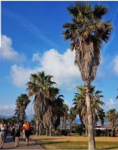 um grupo de pessoas a descer um passeio com palmeiras em Lodging Apartments Forum 15 - Barcelona Forum apartment with sea view em Barcelona
