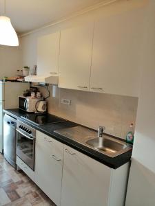 Kuchyňa alebo kuchynka v ubytovaní Apartment K&A- near Dom sportova