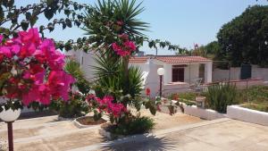 A garden outside Villa Laura Salento