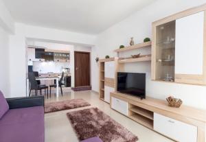 a living room with a purple couch and a tv at Miraj Apartaments - Exclusive Residence in Mamaia