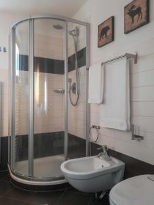 a bathroom with a shower and a toilet and a sink at Ciasa David Marebbe in San Vigilio Di Marebbe