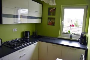 a kitchen with green walls and a stove and a window at Apartment A'la Karol in Świnoujście