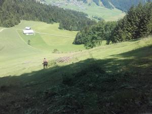 Kép kirchdorf 300 szállásáról Bizauban a galériában