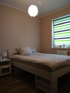 een slaapkamer met een groot bed en een raam bij Apartament Edelmana in Gorzów Wielkopolski