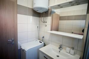 Kúpeľňa v ubytovaní Apartman "Mary"