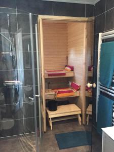 ein Badezimmer mit einer Dusche und einer Sauna in der Unterkunft SINITALO in Inari