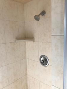 a shower with a shower head in a bathroom at Ventura Beach House Motel in Ventura