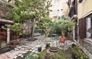 a garden with potted plants and trees in a building at San Marco Garden House in Venice