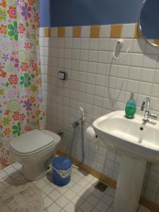 een badkamer met toilet en wastafel bij Casa no Centro Histórico de Pirenópolis in Pirenópolis