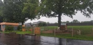 einen Park mit einem Baum und Tieren auf einem Feld in der Unterkunft Fairway Inn in Berryville