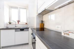 Kuchyň nebo kuchyňský kout v ubytování Urban Luxury Suites Juricevic