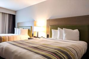 ein Hotelzimmer mit 2 Betten und weißen Kissen in der Unterkunft Comfort Inn & Suites in Slidell
