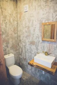 ein Badezimmer mit einem WC, einem Waschbecken und einem Spiegel in der Unterkunft The Iskemleci Guest House in Lefkosa Turk