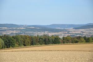 a field with a view of the countryside at Ferienzimmer Therme Natur - Ferienhaus "Zum Goldenen Löwen" in Bad Rodach +2 photos