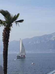 een zeilboot in het water met een palmboom bij Casa Vacanze Ester in Brenzone sul Garda
