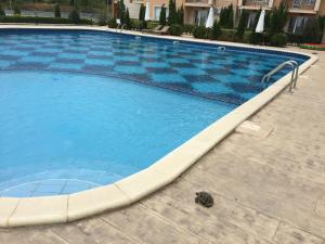 a large blue swimming pool with a checkerboard pattern at Byala Apartments BSR 7 in Byala +8 photos