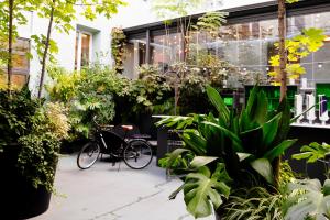 um pátio com plantas e uma bicicleta em frente a um edifício em Petit Palace Santa Bárbara em Madrid
