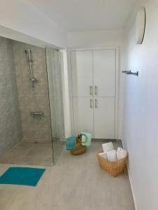 uma casa de banho com um chuveiro e uma cabina de duche em vidro. em Mourayio Apartments em Pomos