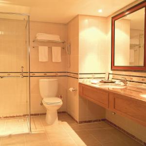 a bathroom with a toilet and a shower and a sink at Taj Pamodzi Lusaka in Lusaka