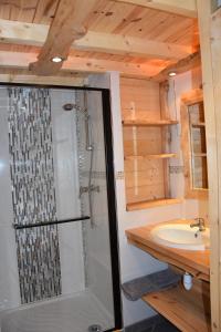 ein Bad mit einer Dusche und einem Waschbecken in der Unterkunft Gite de charme la Chabotte - Royans / Vercors in Châtelus