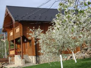 a log cabin with a tree in front of it at Eco Sadyba Familia in Yaremche