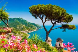 a tree on a hill with a view of the ocean at Casa Major in Maiori