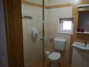 a bathroom with a toilet and a sink at Áldos Panzió in Farád