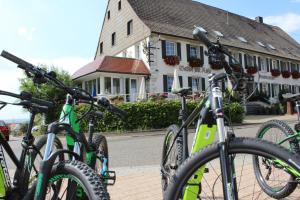 Катання на велосипеді по території Hotel Rössle або околицях